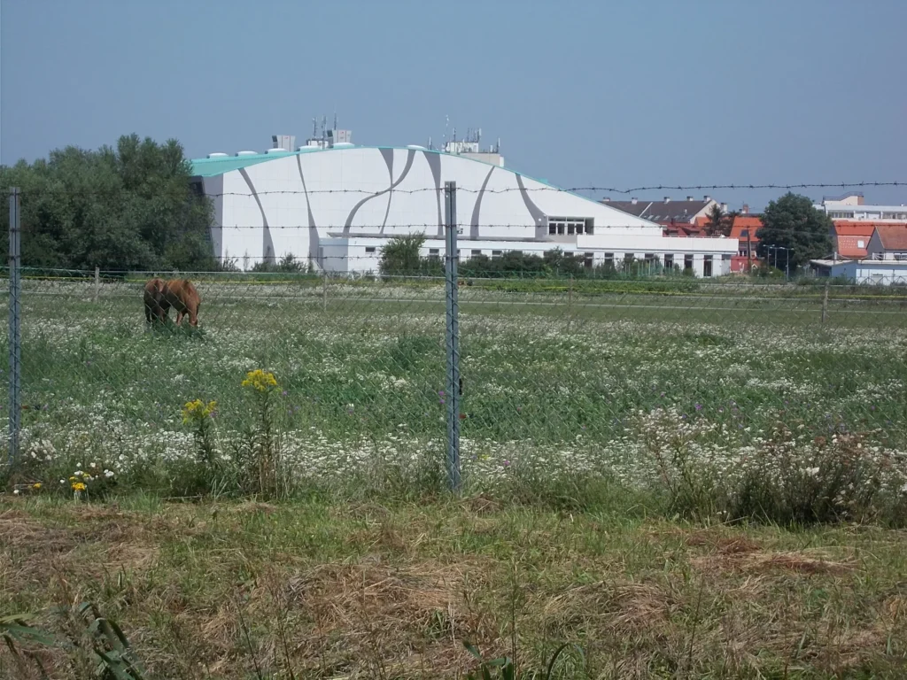 Sarvar Arena