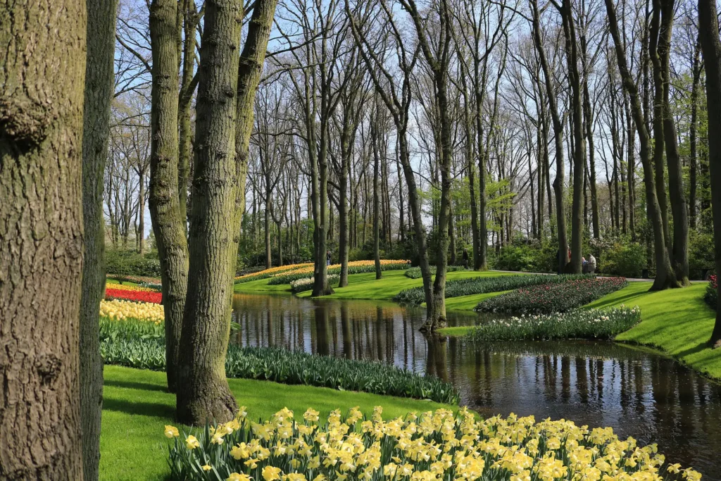 Keukenhof Gardens Favourite Attractions of Amsterdam