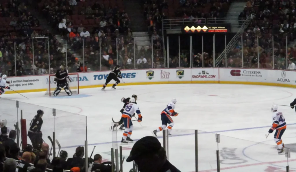 anaheim ducks ice hockey