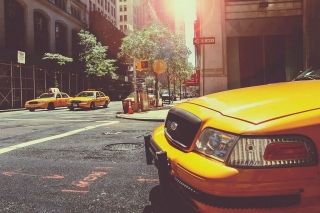 Yellow Taxi Cabs in New York