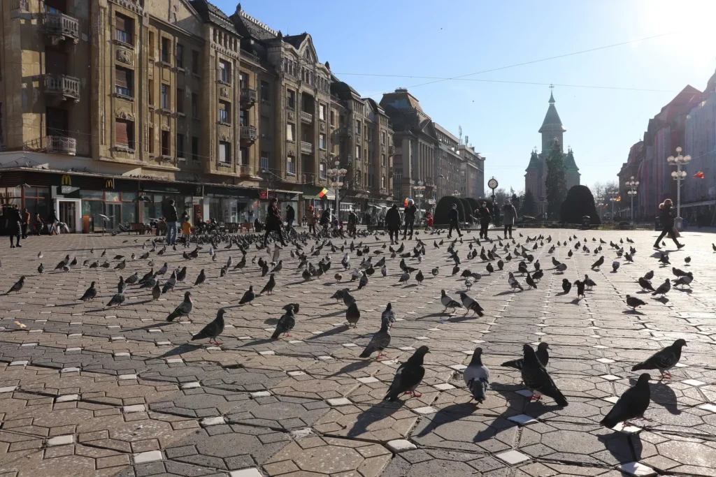 Timișoara victory square